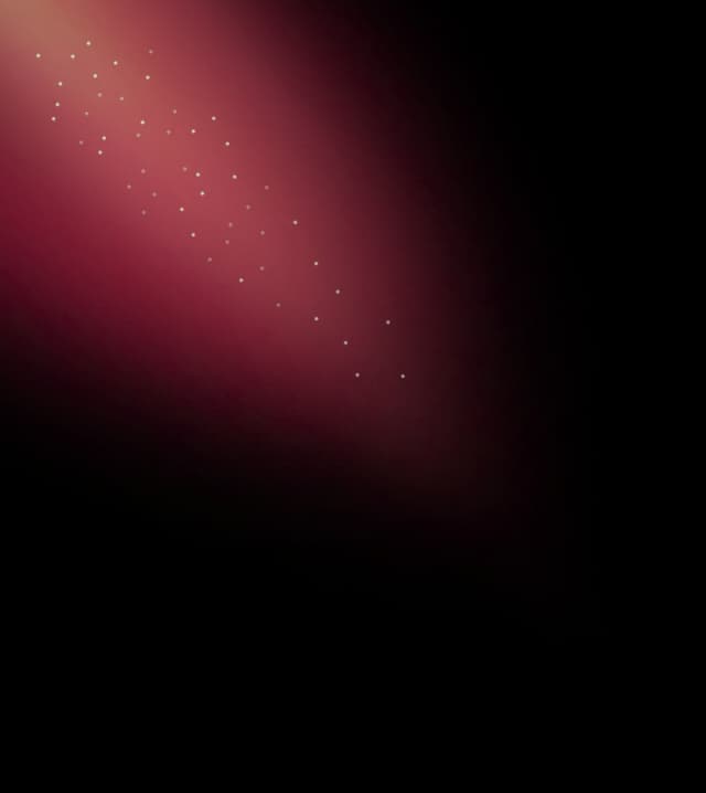 Vector